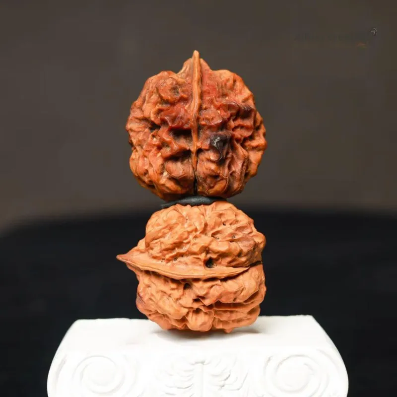 Xihe Core Creation Walnut Fine Handicraft Collectible Unisex-2