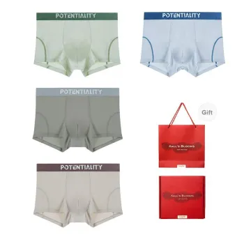 Maiden House Underwear Gift Boxes Men's 4 Pack