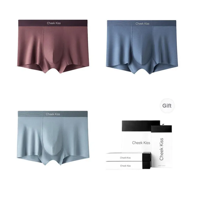 Cheekkiss Underwear Gift Boxes Men's 3 Pack-3