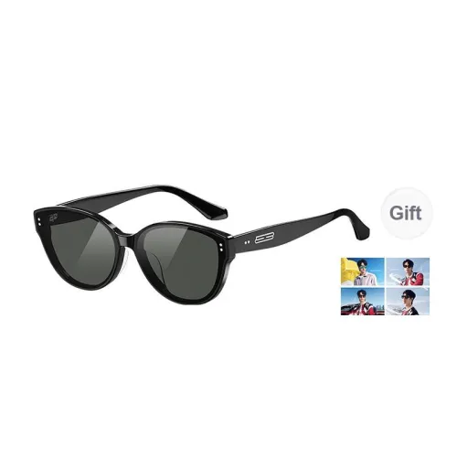 HELEN KELLER Plate Frame Cat Eye Sunglasses Unisex