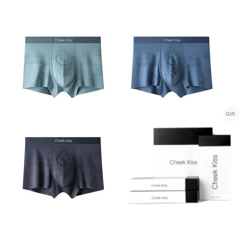 Cheekkiss Underwear Gift Boxes Men's 3 Pack-15