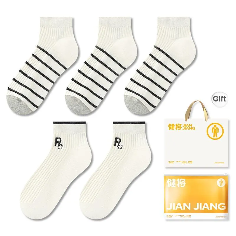 Master Mid Calf Socks Men's Box 5 Pack-16