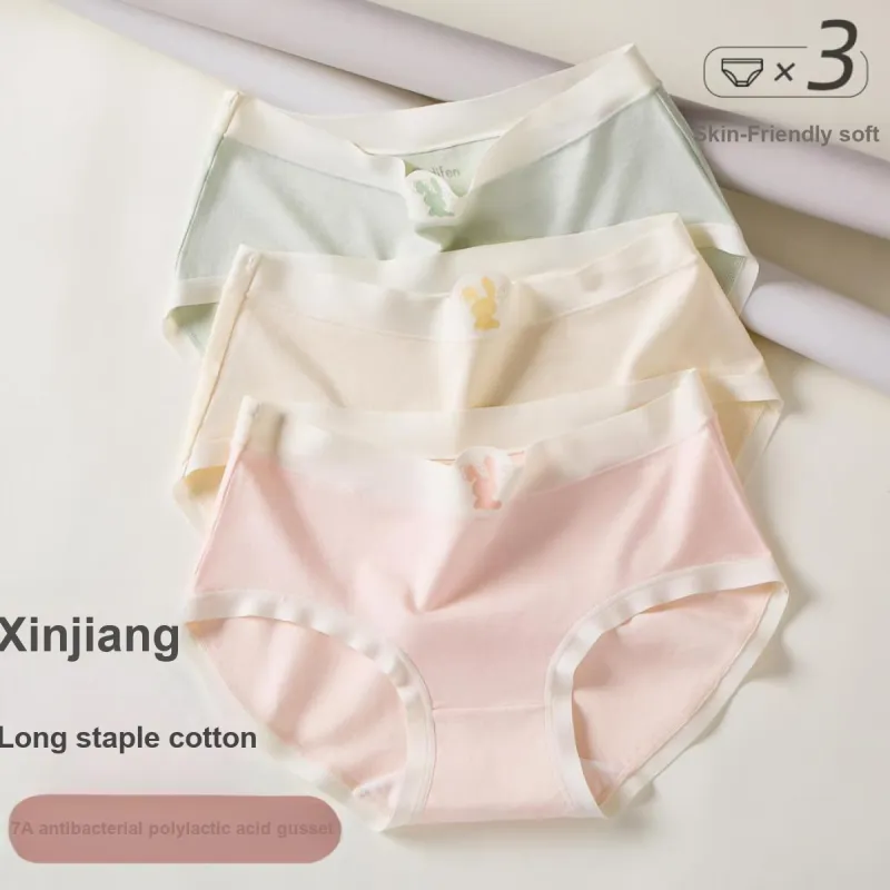 Ordifen Underpants Women's 3 Pack-3
