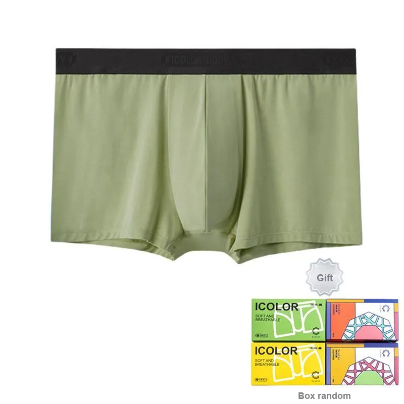 Icolor Men Underpants-4