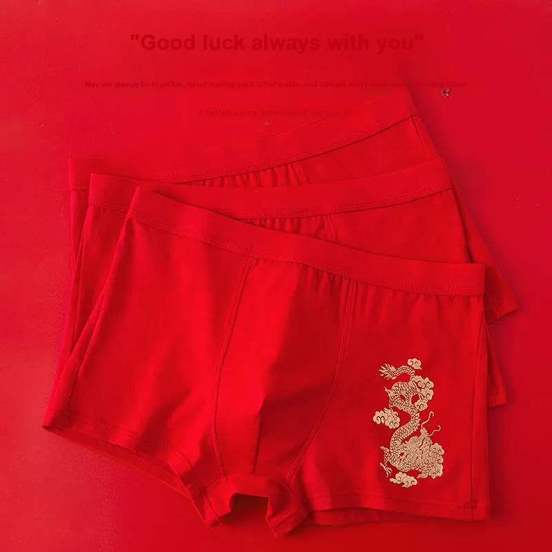 Lanza Underpants Men's 1 Pack Auspicious Year Of The Dragon-4