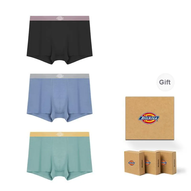 Dickies Underpants Men's Box 3 Pack-32