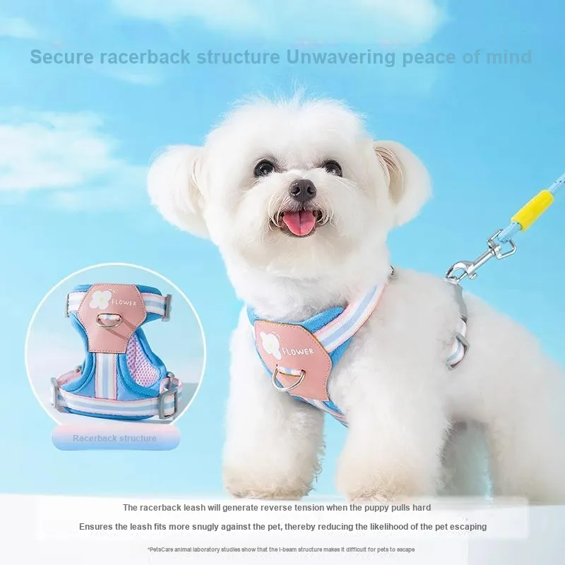 Hippie dogs Leashes-2