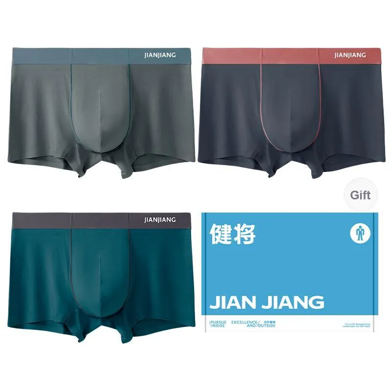 Master Underwear Gift Box Men's 3 Pack-6
