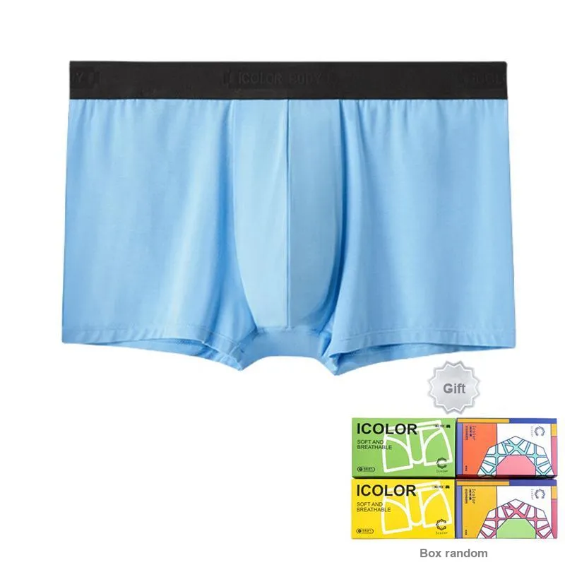 Icolor Men Underpants-5