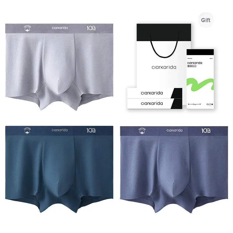 Clarkarida Underpants Men's 3 Pack-1