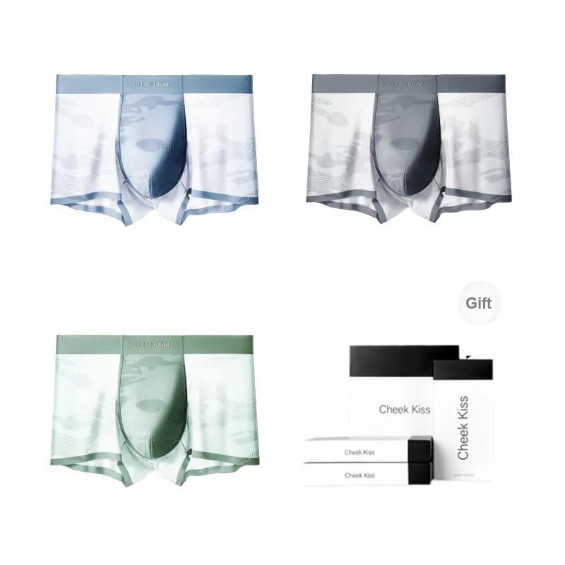 Cheekkiss Underpants Men's Box 4 Pack-21