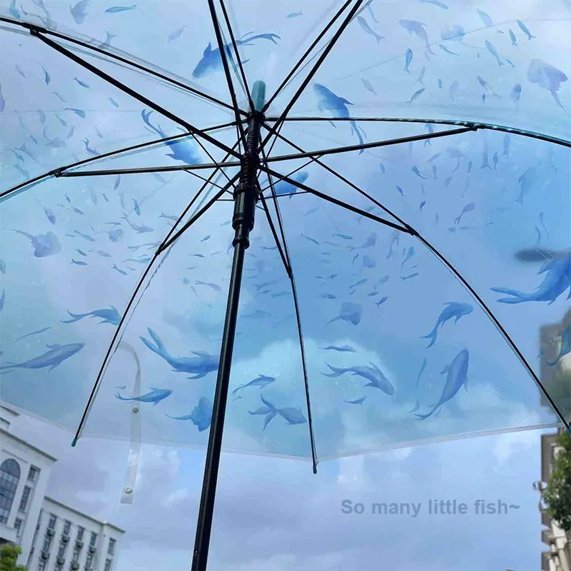 Pleasant language Umbrellas-10