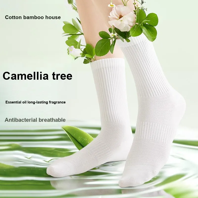 B&C.Room Knee High Socks Women's 5 Pack-1
