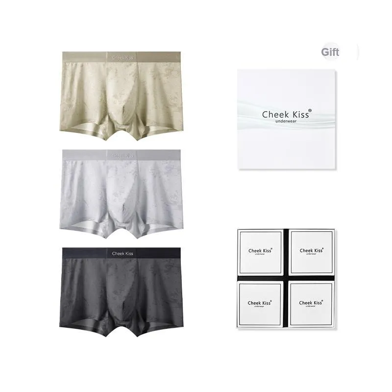 Cheekkiss Underwear Gift Boxes Men's 3 Pack-9