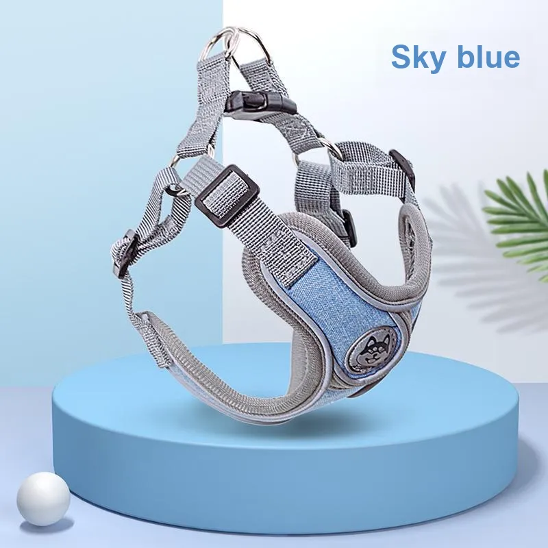 Kimpets Leashes-2