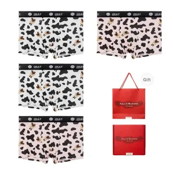 Maiden House Underwear Gift Box Men's Box 4 Pack