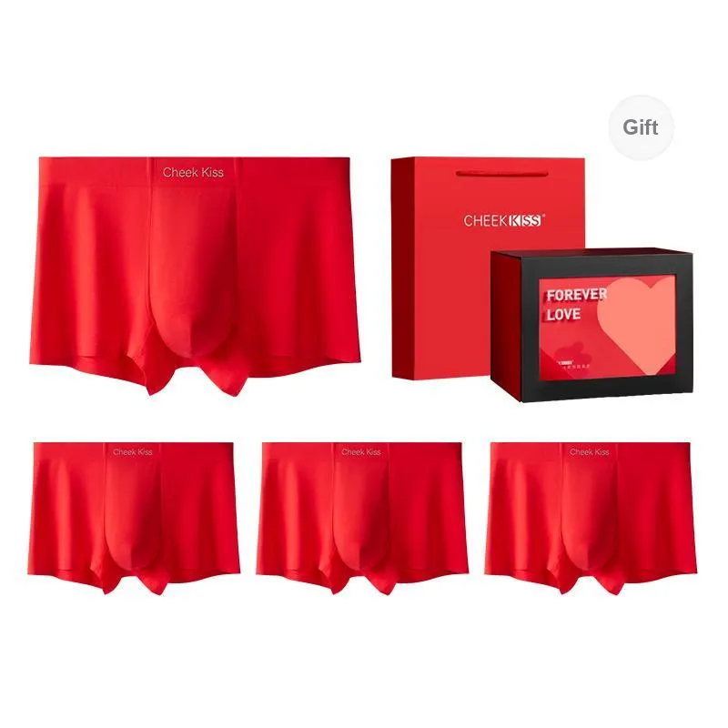 Cheekkiss Underwear Gift Boxes Men's-12