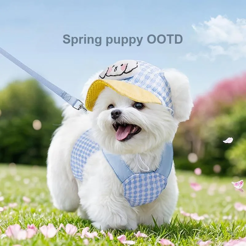 Hippie dogs Leashes-1