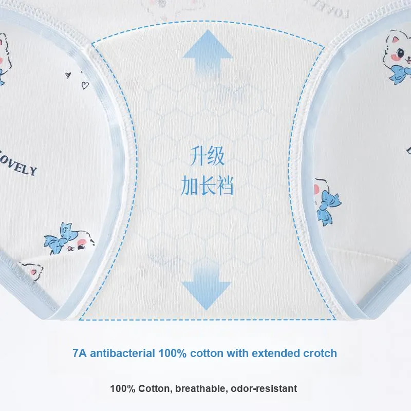 Urban Beauty Underpants Women's 3 Pack-6