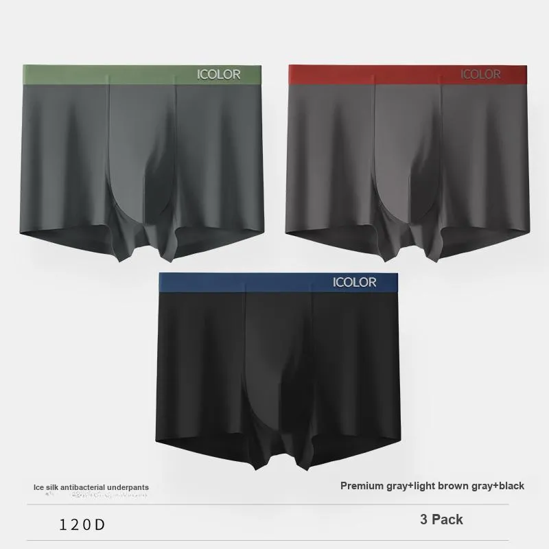 Icolor Men Underpants-19