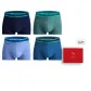 Navy Blue, Gray Green, Ice Blue, Navy Blue