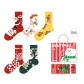 Socks Full Christmas-5 Pack Gift Box Set