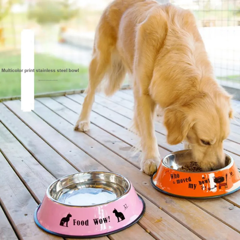 Kimpets Cat And Dog Bowls & Slow Feeder Bowls-4