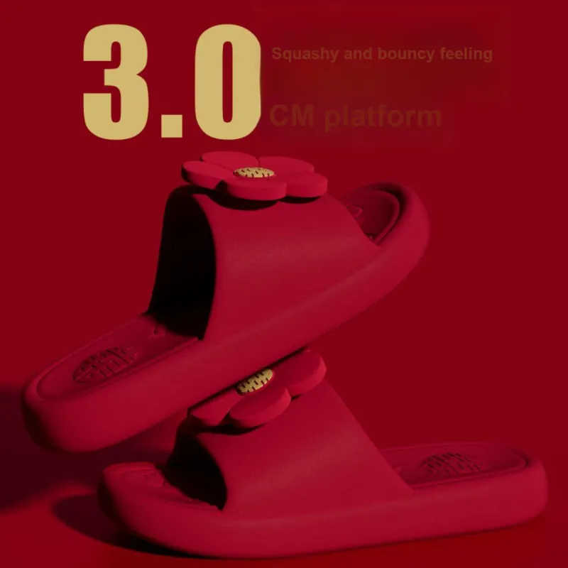 TZLDN Slippers / Home Slippers-3