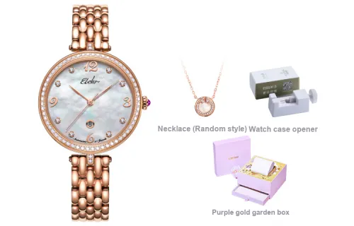EBOHR Mechanical Movement Stainless Steel Strap Watch Women's Watch Mother of Pearl Color Watch Dial