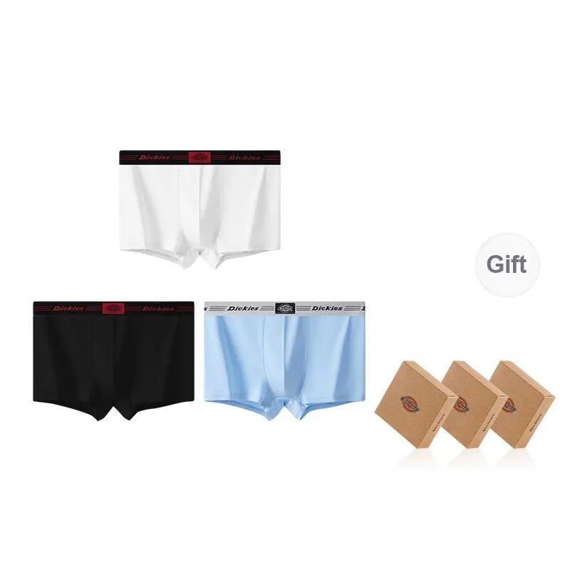 Dickies Underpants Men's Combo Set-55
