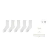 화이트+화이트+화이트+화이트+화이트