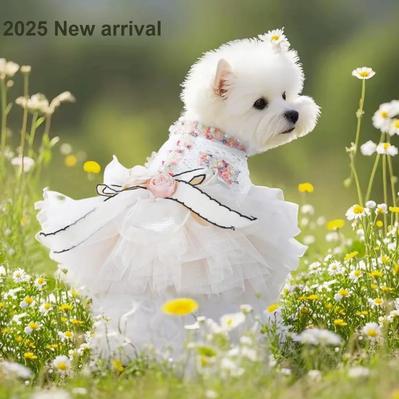 Petcircle Pet Clothing-1