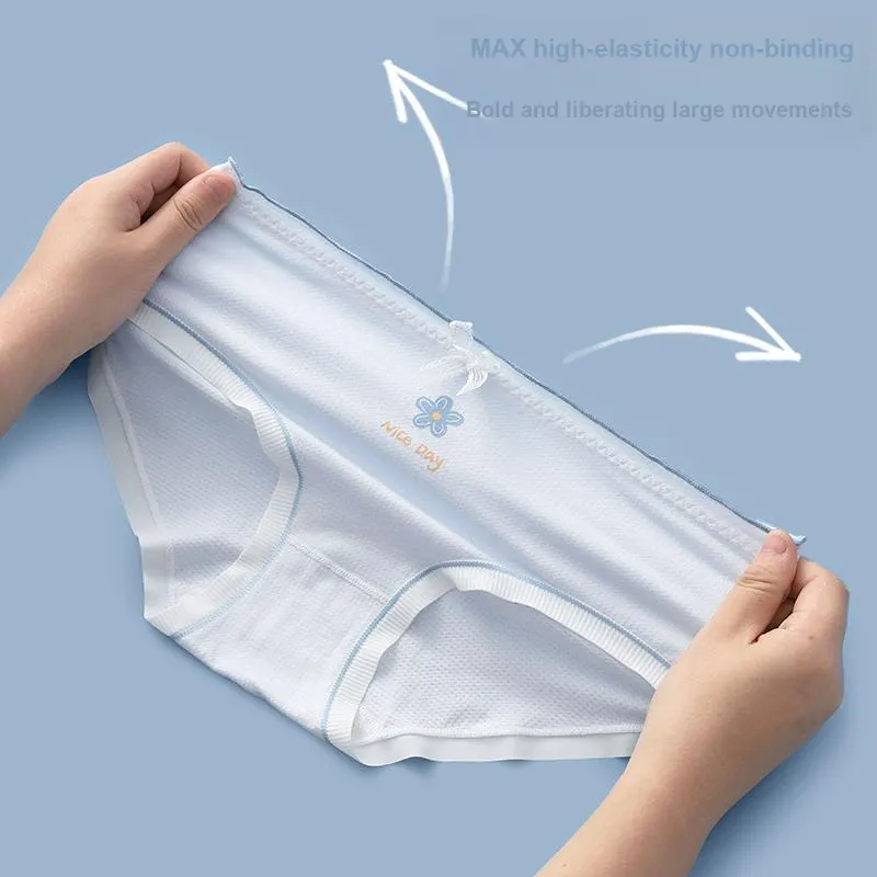 Pretty Lady Underpants Women's 4 Pack-3
