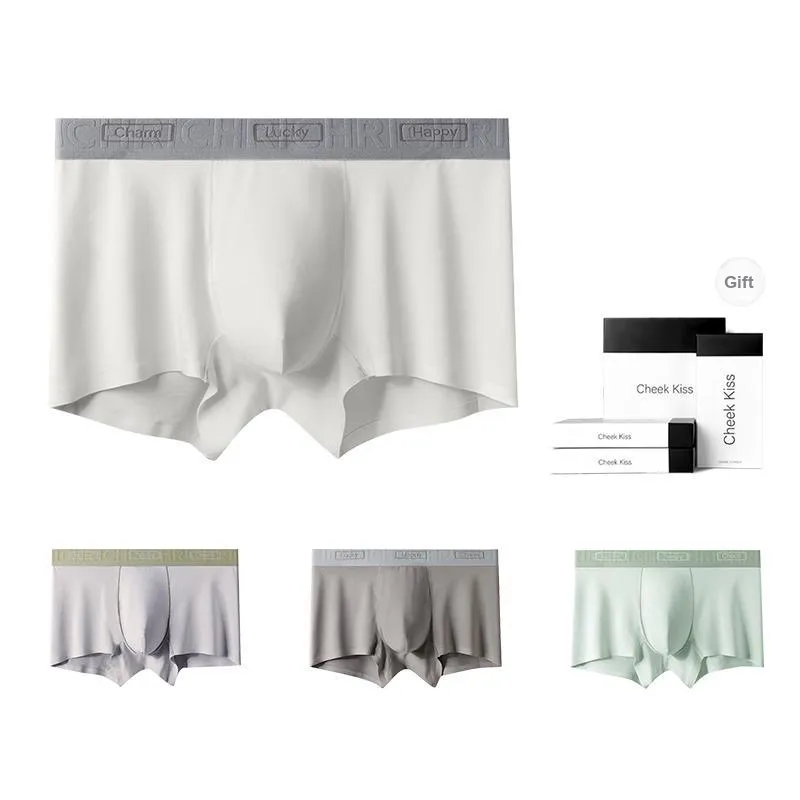Cheekkiss Underwear Gift Boxes Men's 4 Pack-10