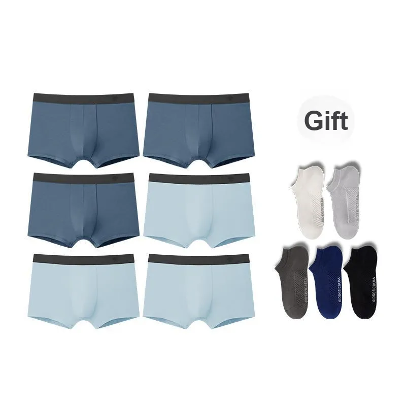 BIOSERICA ERA Cotton Underpants Men's 6 Pack-20