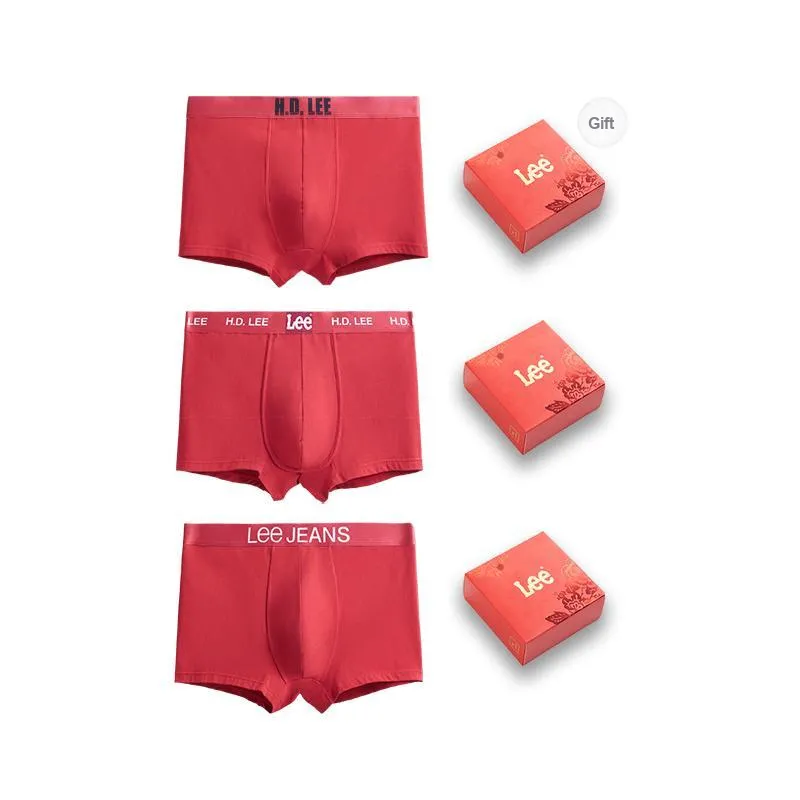 Lee Men Underpants-15