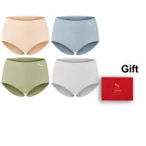 Skin-Gray Blue-Fruit Green-Silver Gray