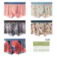 5-Pack[Leaf & Feather Art+Deep Sea Melody+Leo+Dune River+Phantom Oil Paintings]