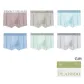 6 Pack[Dusty Purple+Oats Camel+Star Moon Blue+Norway Blue+Mint Green+Light Gray]