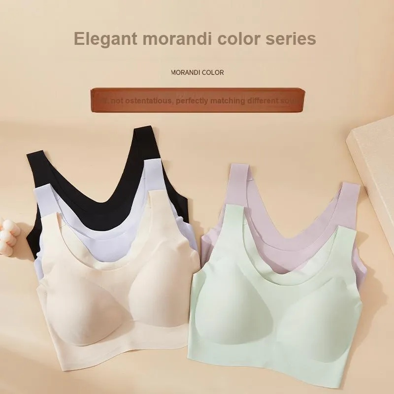 Herbal primer Women's Bras-1