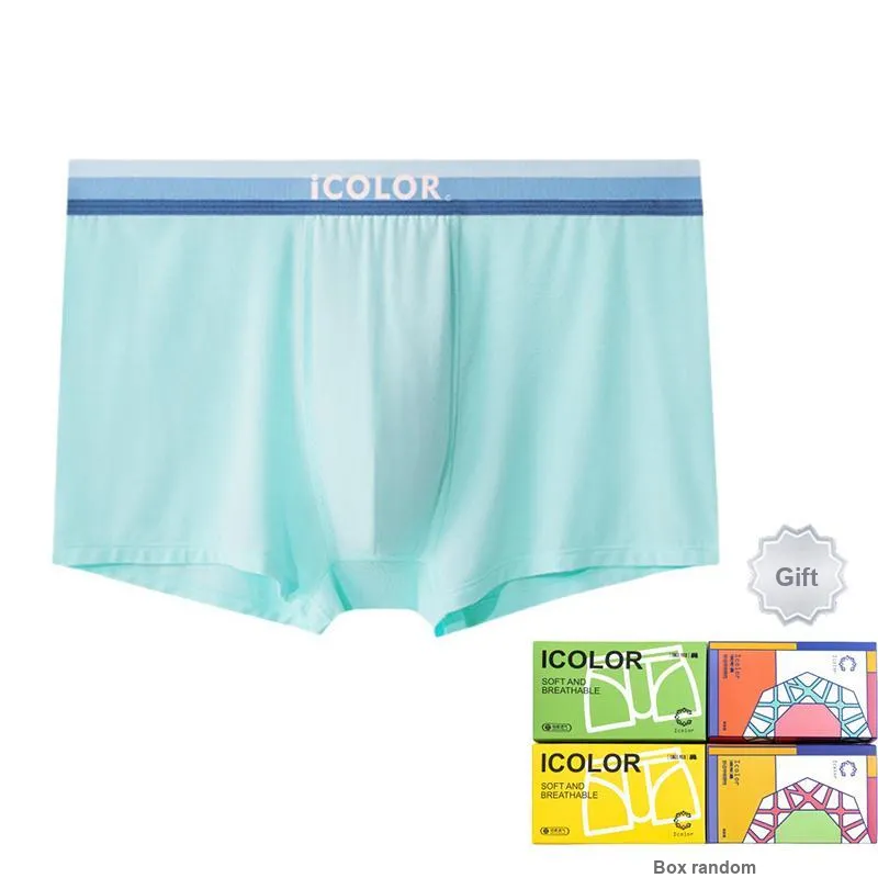 Icolor Men Underpants-0