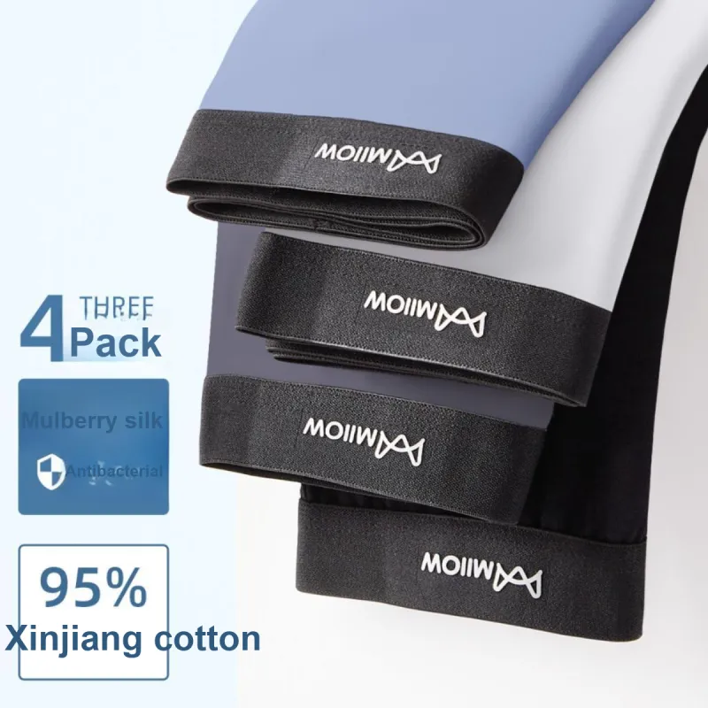 MIIOW Underpants Men's 4 Pack Mixed Color-4