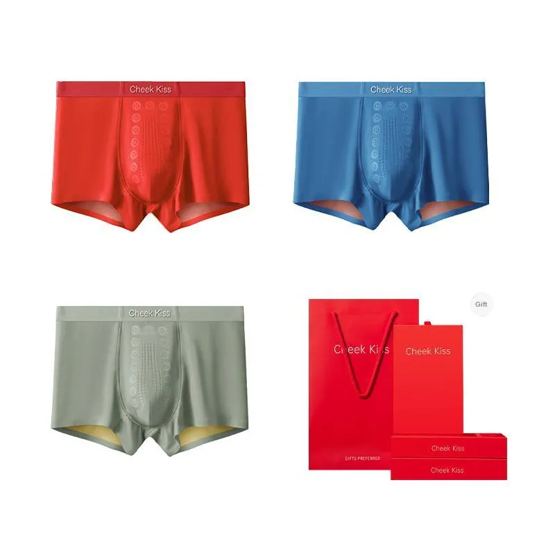 Cheekkiss Underpants Men's Box 3 Pack-2