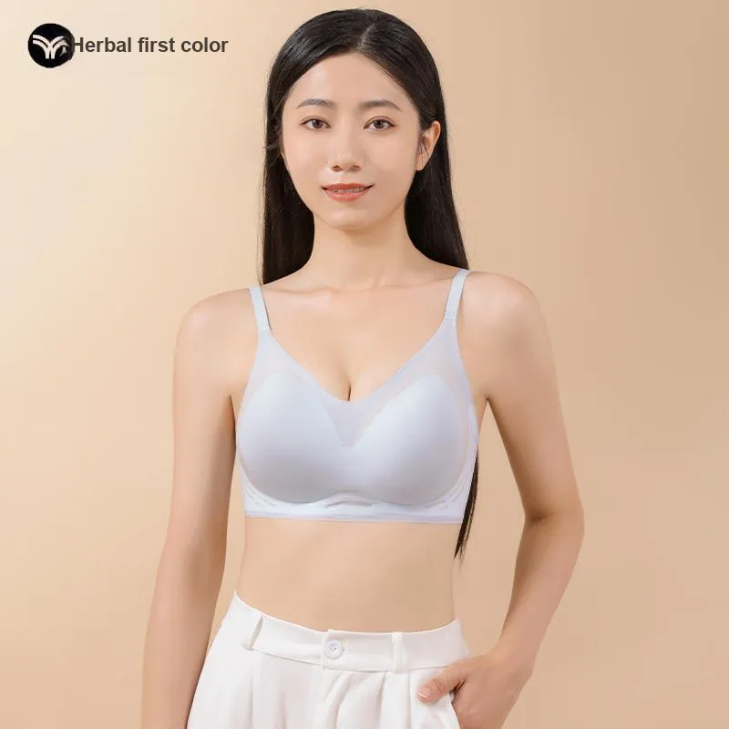 Herbal primer Women's Bras-3