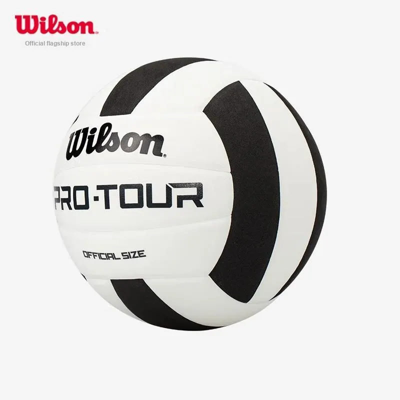 Wilson Volleyball-1
