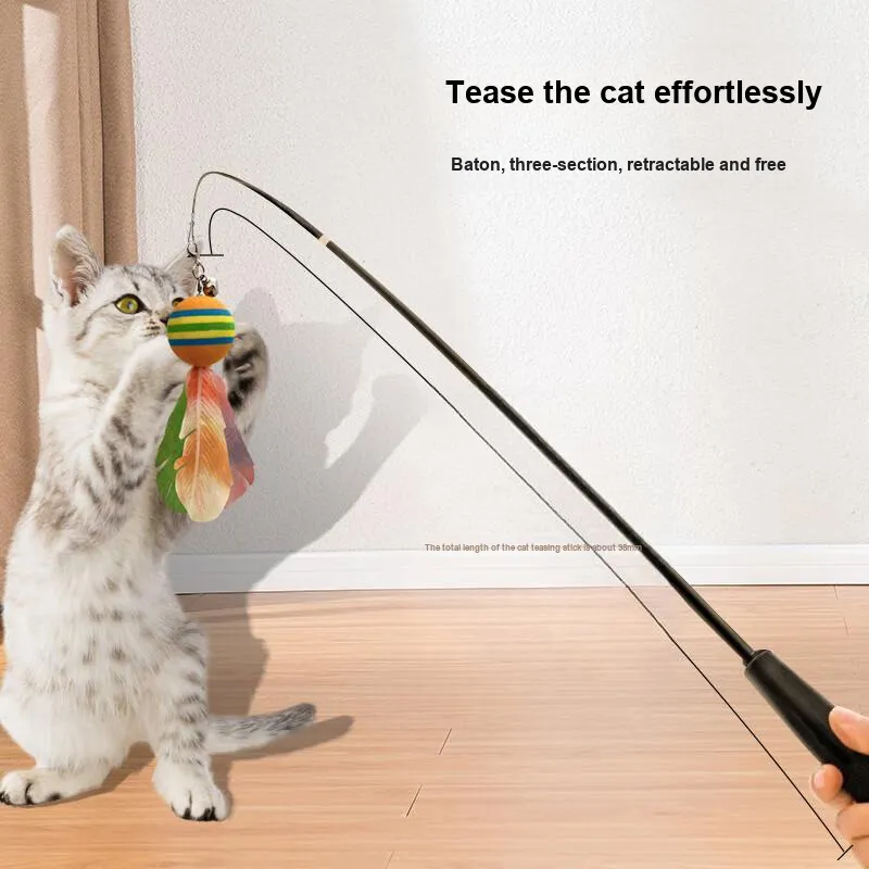 ZANCHONG Pet Toys-2