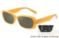 Orange Frame with Tea Brown Lens