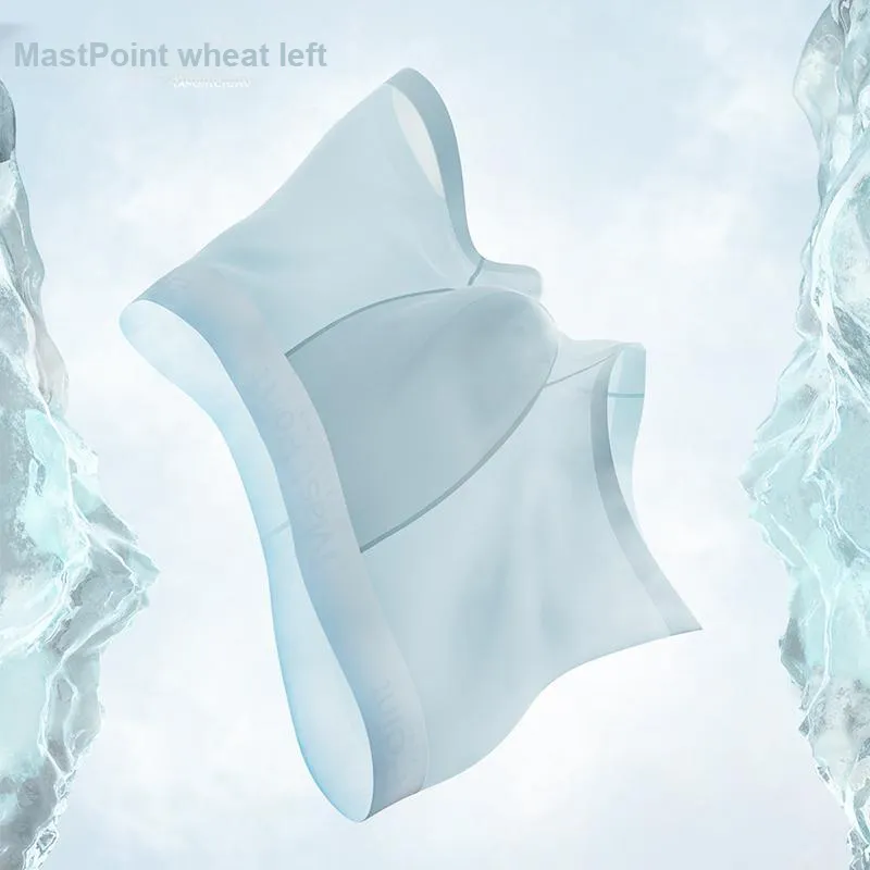 Mast Point Underpants Men's Multi Specification Set-20
