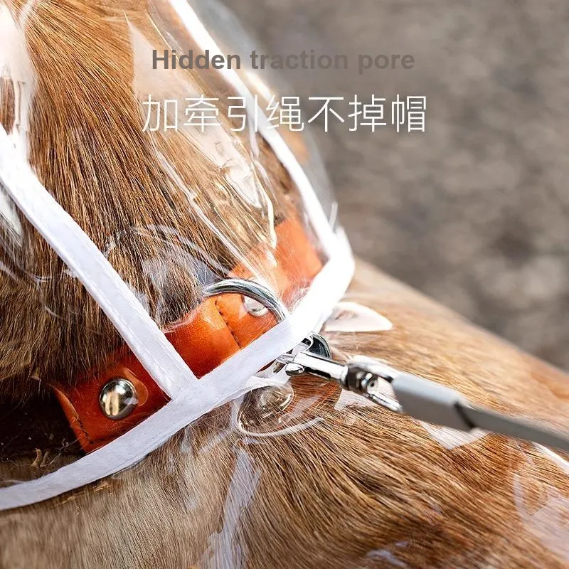 Hippie dogs Pet Clothing-3