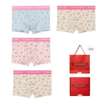 Maiden House Underwear Gift Box Men's Box 4 Pack